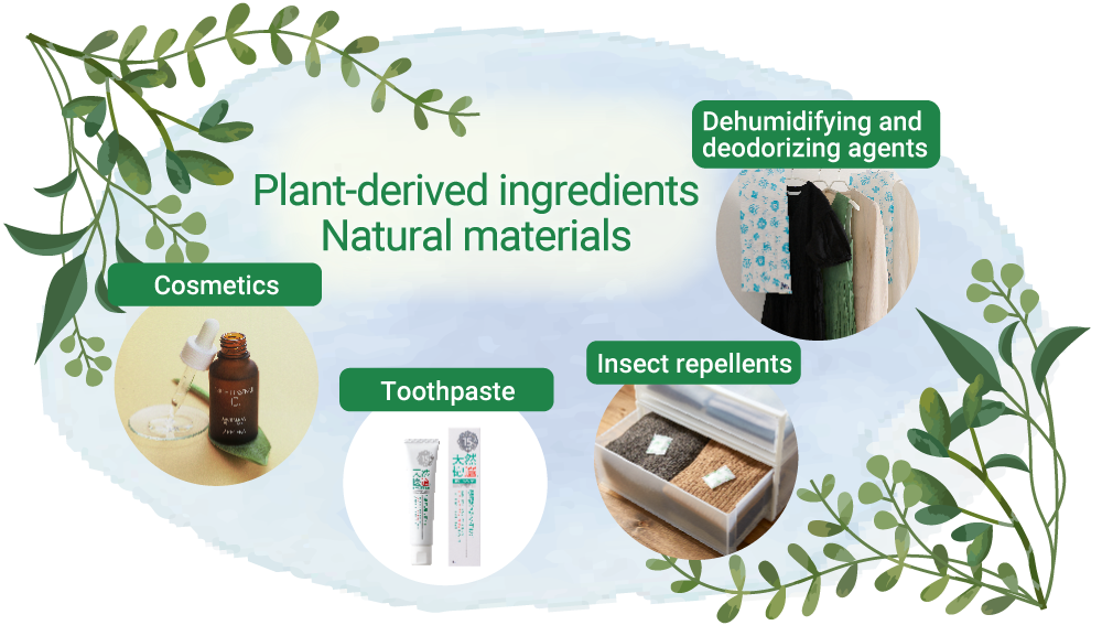 Plant-derived ingredients