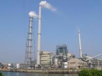 Magnesium hydroxide (slurry)
